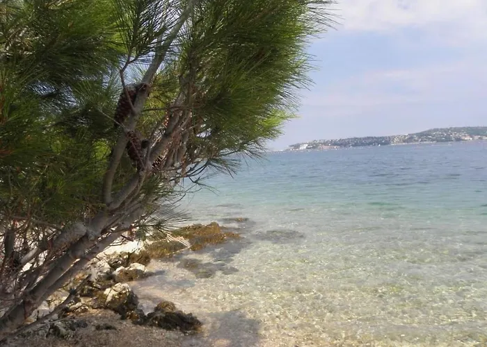 Apartman In Valica Mit Grossem Garten By Interhome *